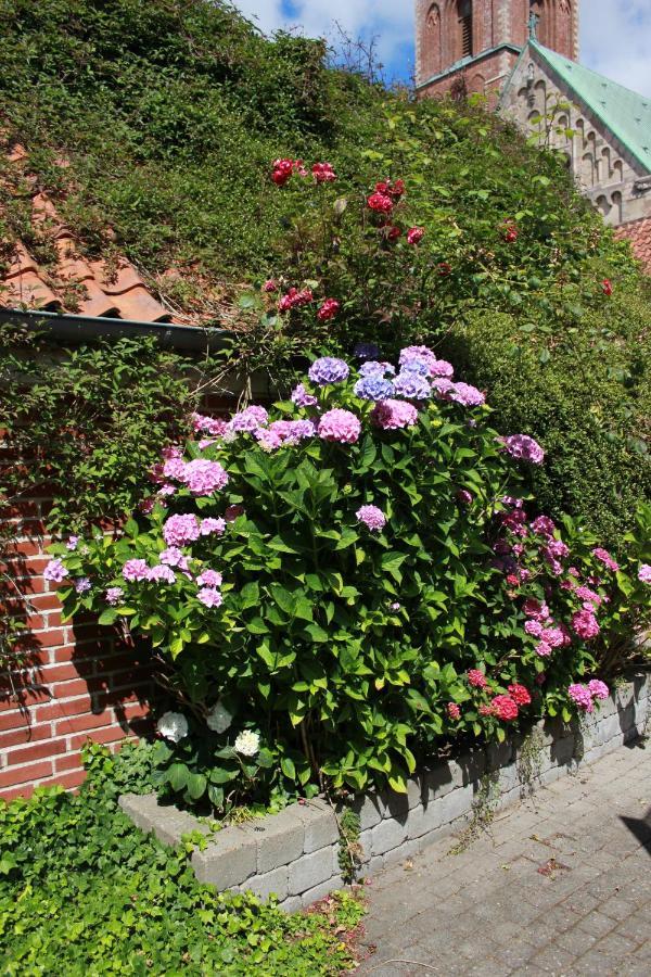 Ribe Ferielejlighed Exteriör bild